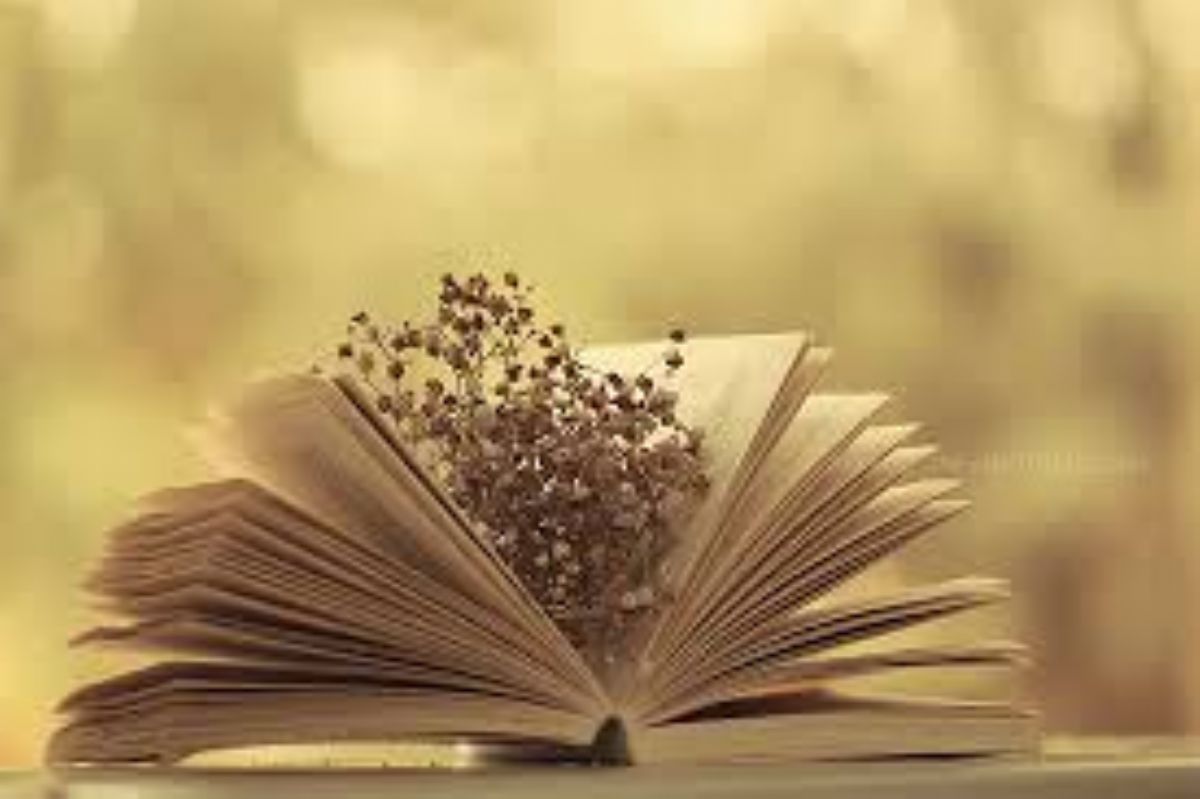 Dream Meaning of a Book