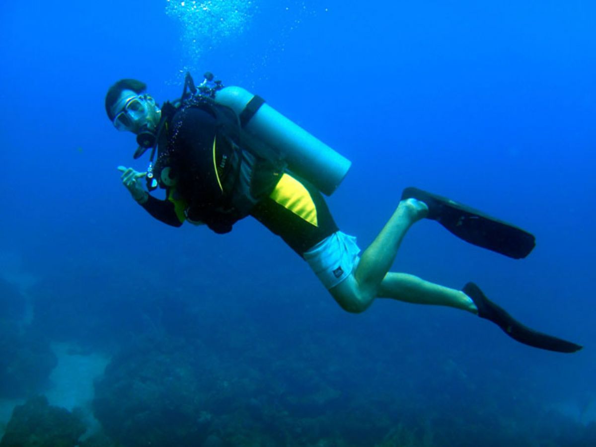Dream Meaning of Diver