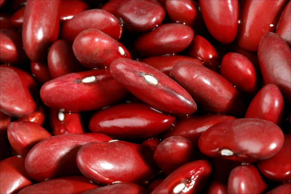 Dream Meaning of Kidney Bean
