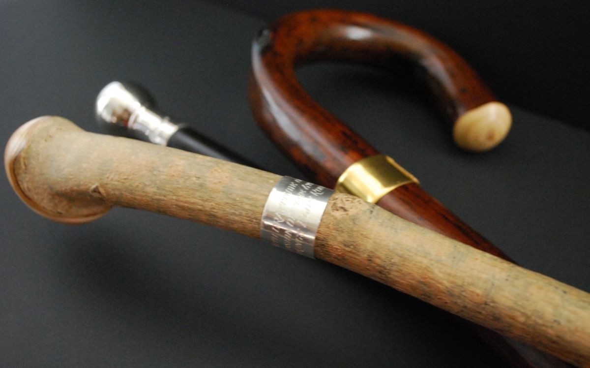 Dream Meaning of Walking Stick