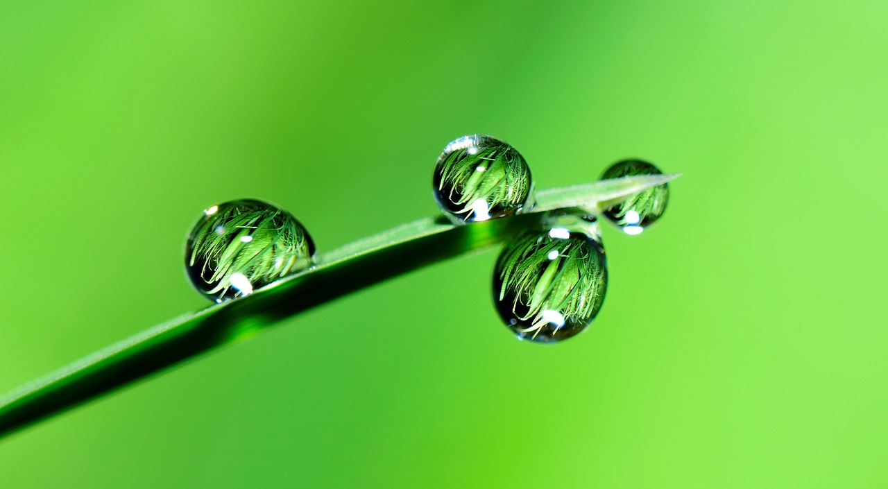 Dream Meaning of Being Wetted