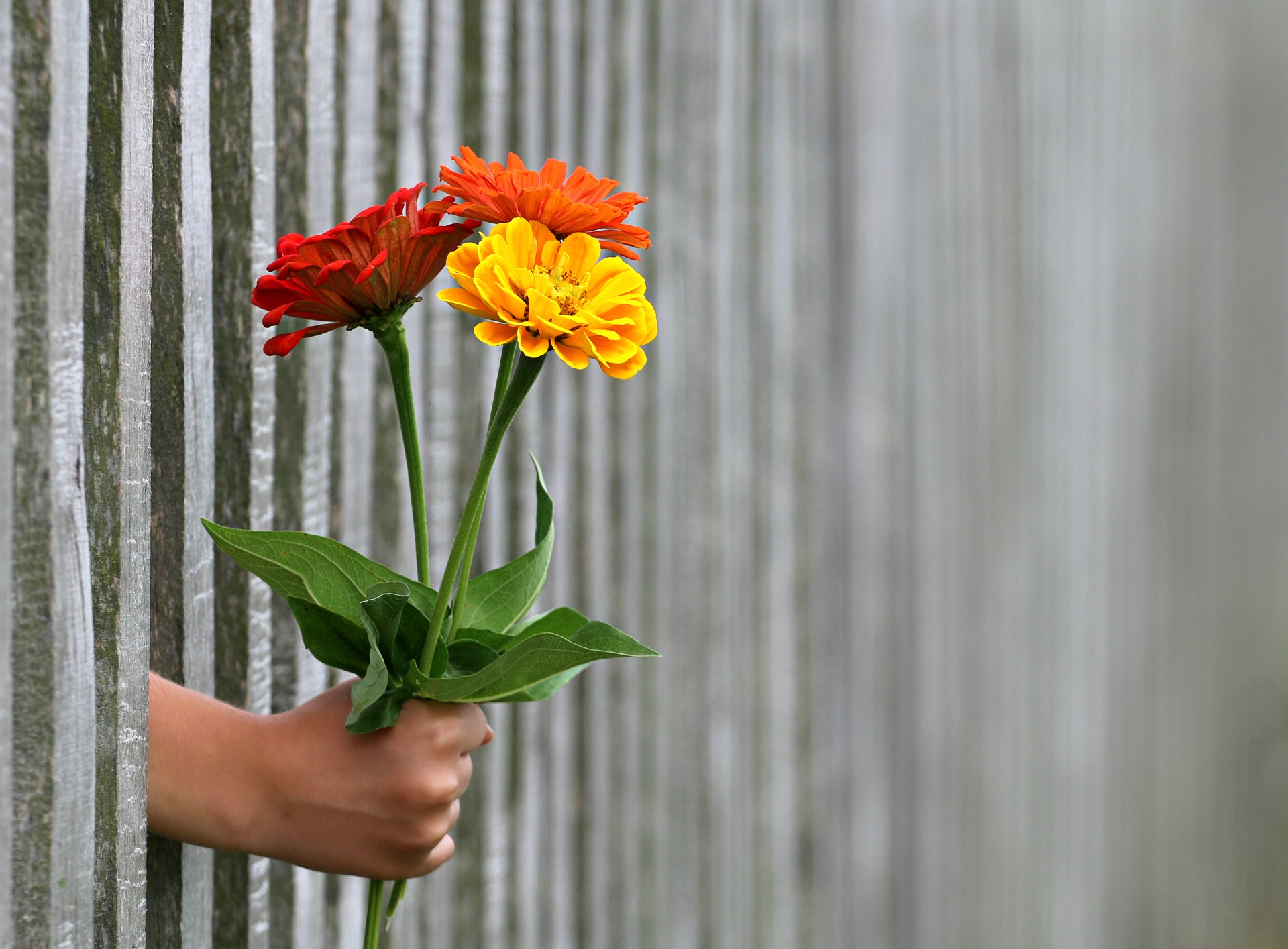 Dream Meaning of Giving