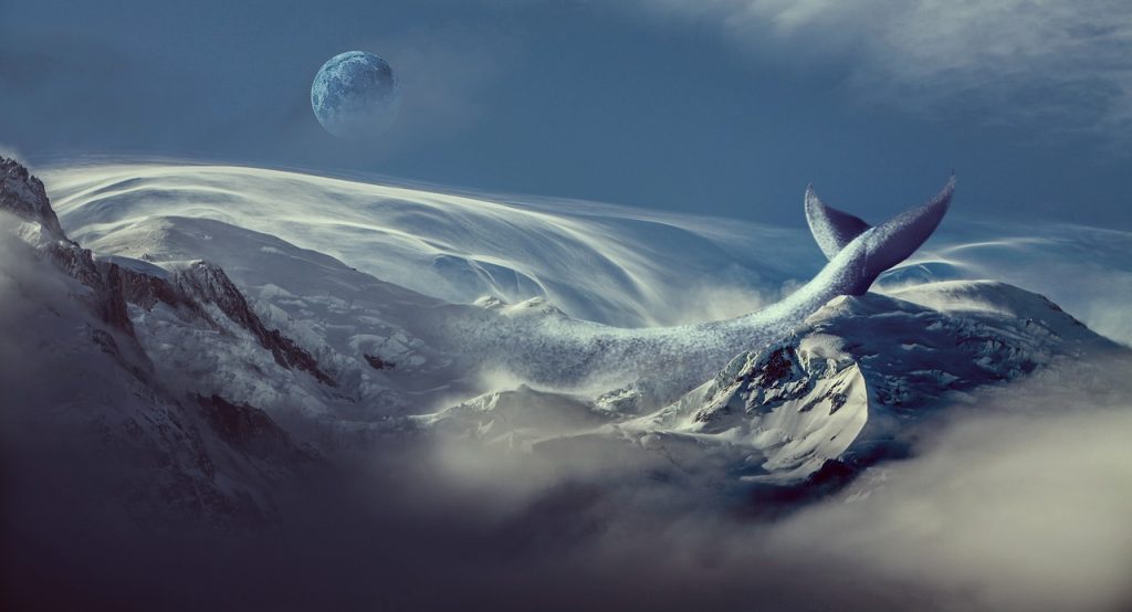 Dream Meaning of Whale