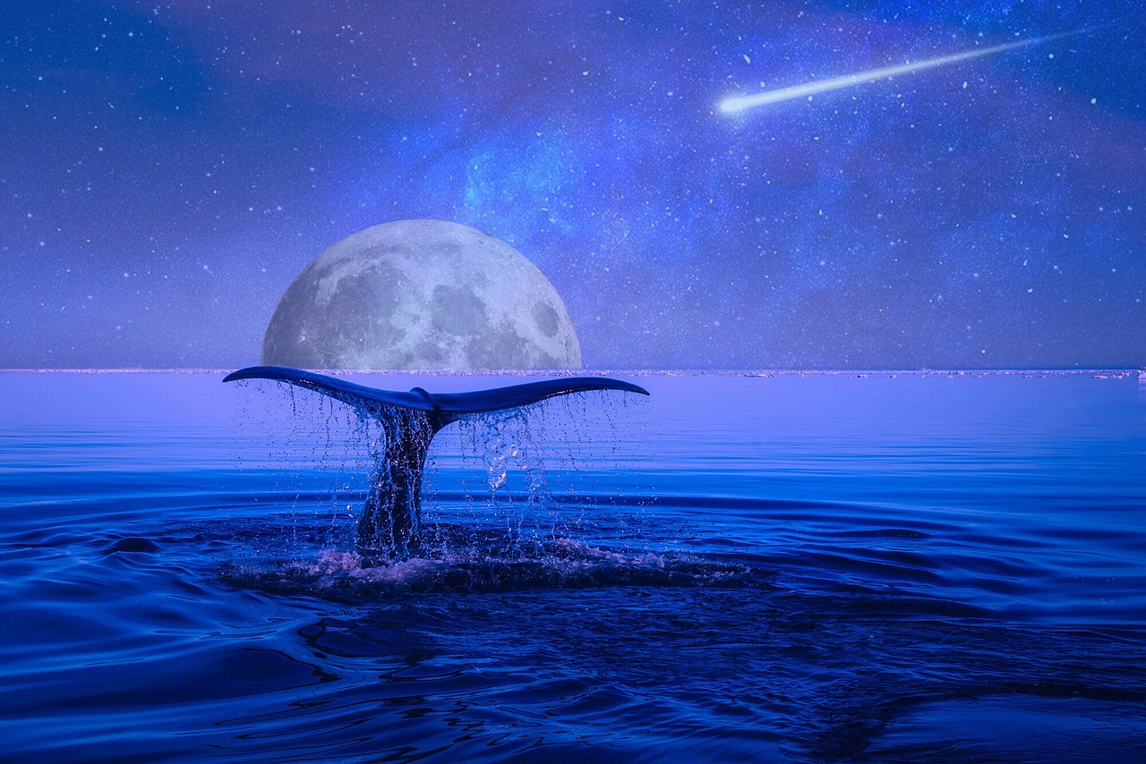 Dream Meaning of Whale
