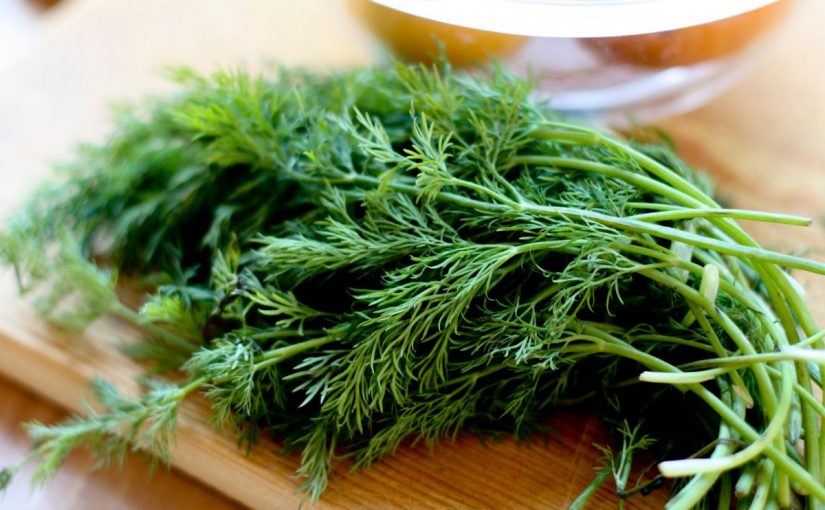 Dream Meaning Of Dill Dream Interpretation