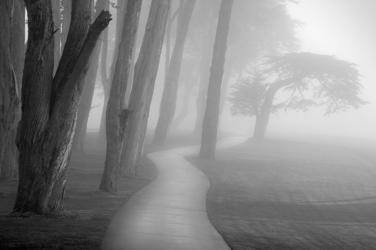 Dream Meaning Of Fog Dream Interpretation