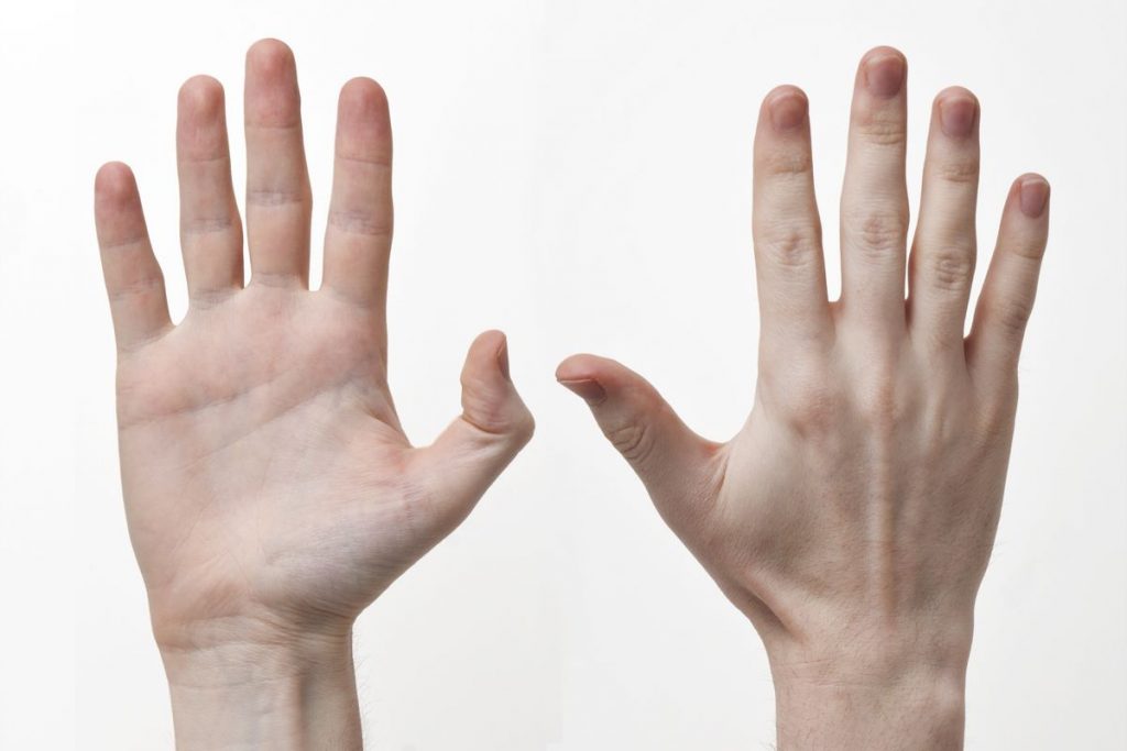 Dream Meaning of Hand