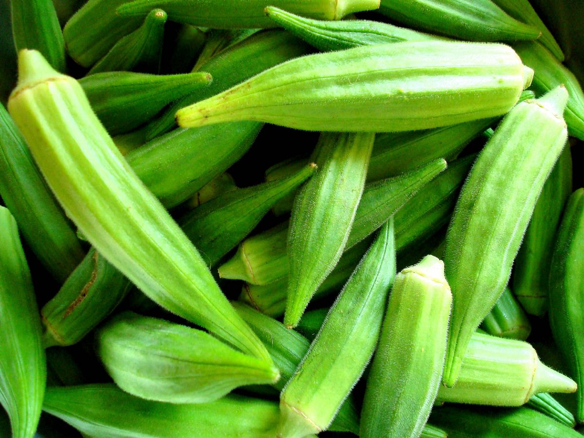 Dream Meaning Of Okra Dream Interpretation